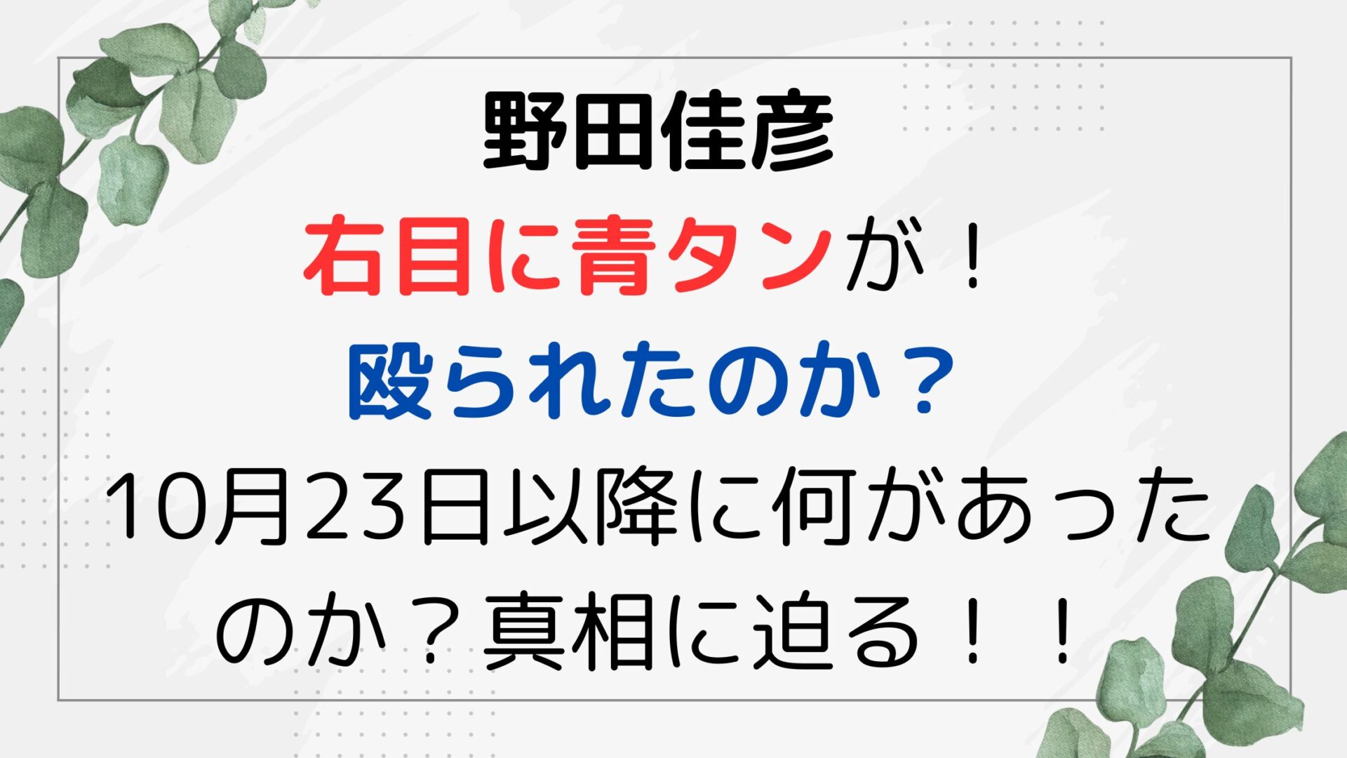 野田佳彦右目に青タンが！殴られたのか？10月23日以降に何があったのか？真相に迫る！！